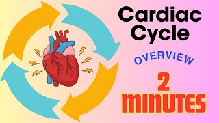 Cardiac Cycle  in 2 minutes