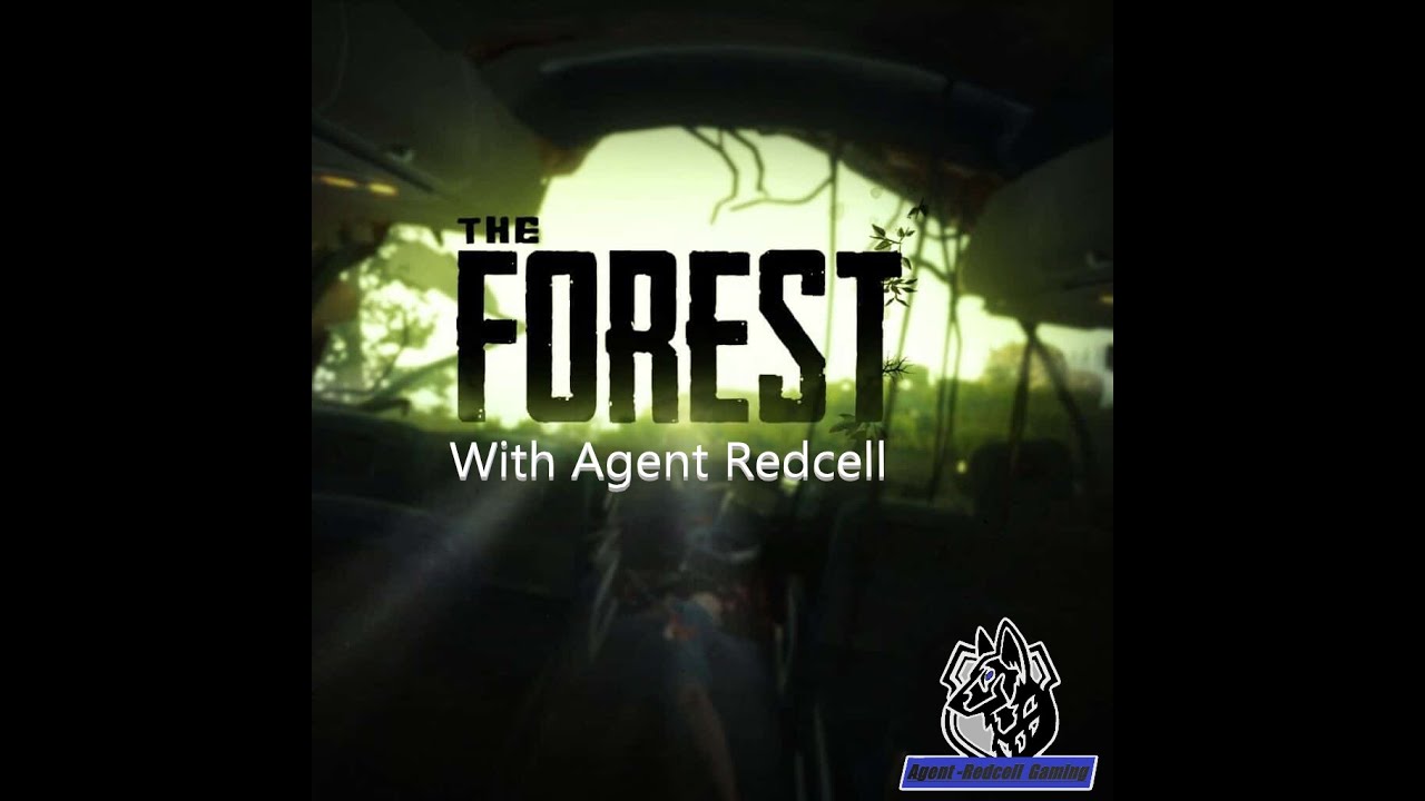 The Forest Live Stream!