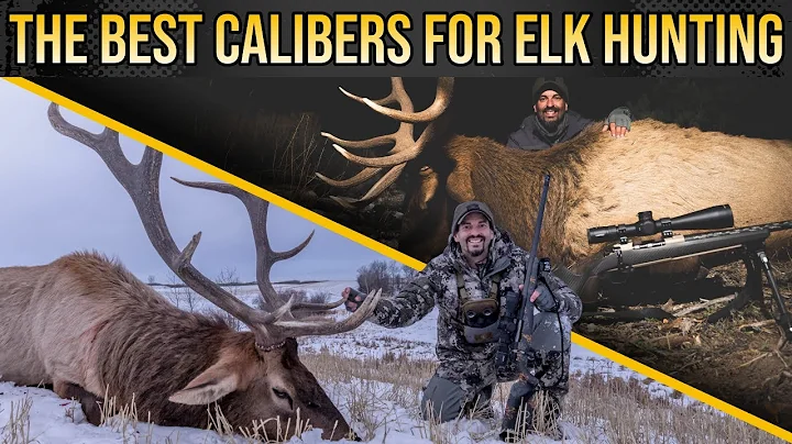 The Best Calibers for Elk Hunting! | Mark Peterson