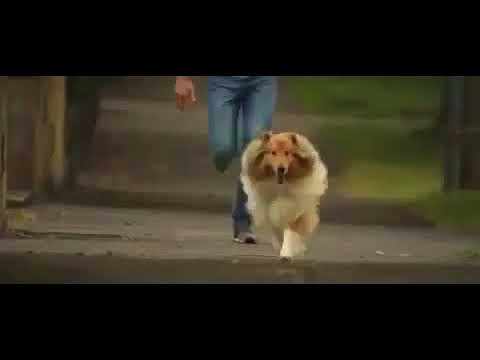 Funny DB Export Commercial  There's A Fire At The Old Well