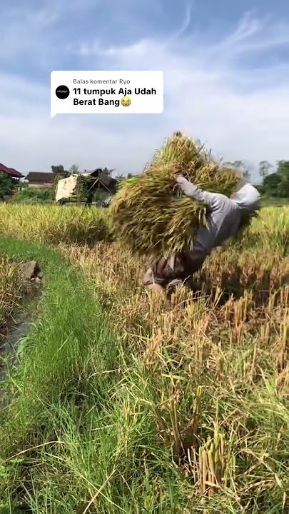 Those who are already pro are no longer in doubt #bolongaret #pejuangngarit #shortvideo