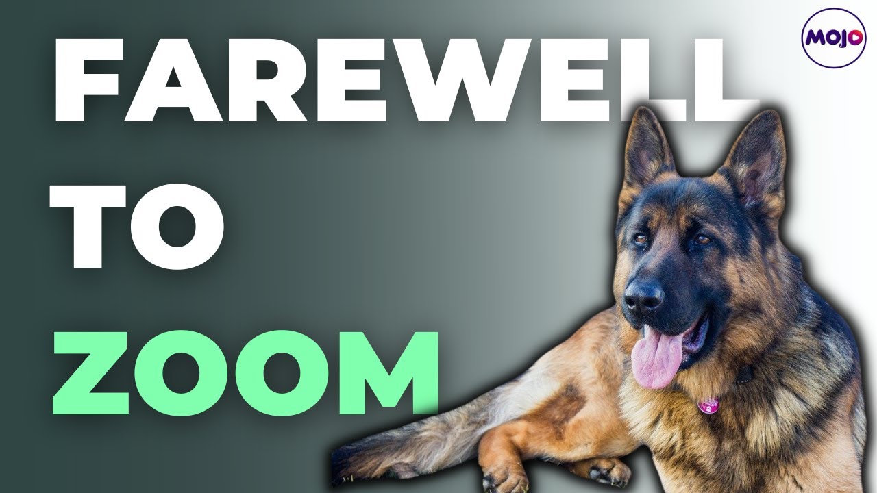 “Zoom”  Breaths His Last | Indian Army Dog Injured In Anti-Terror Op Succumbs To Injures