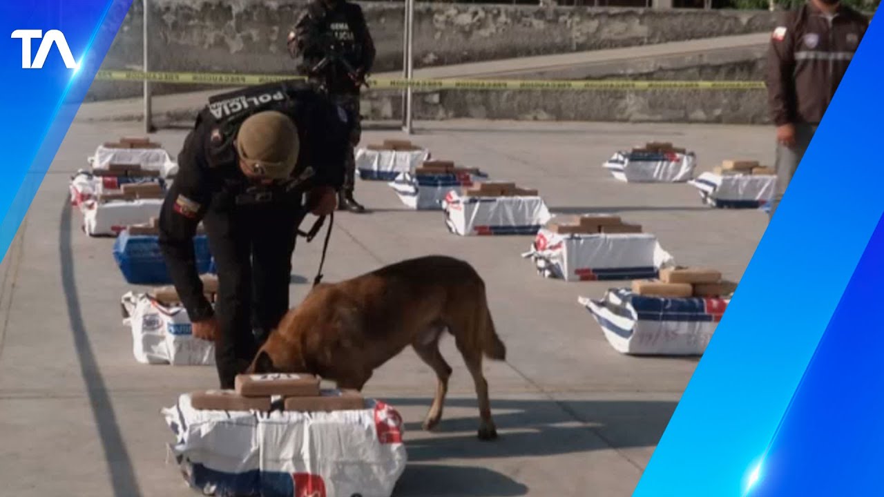 Dos toneladas de droga fueron decomisadas en puerto de Guayaquil - YouTube