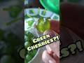17 Green Foods for St. Patrick's Day! #StPatricksDay
