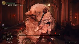 Elden Ring - Godskin Noble Rl1 Ng7, No Damage