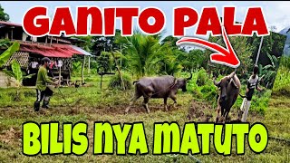 Kompleto Na|Buhay sa Bukid|Buhay Probinsya