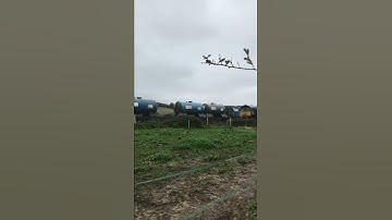 Class 66 RHTT coming into Cromer