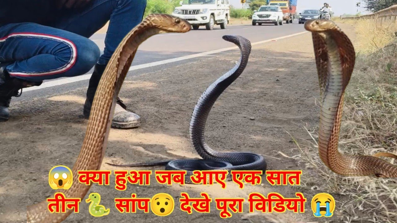 😱 SANP NE KIYA HIGHWAY ROAD JAAM 😲