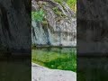 # somewhere in China. #nature #lifeisbutadream #ihavethisthingwithplants
