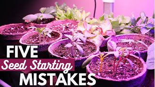 5 Seed Starting Mistakes to AVOID | Starting Seeds Indoors for Beginners