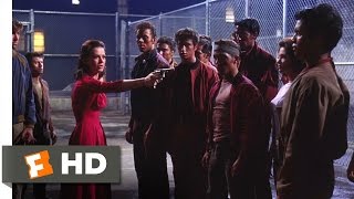 West Side Story (10/10) Movie CLIP - Killed By Hate (1961) HD