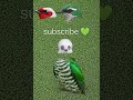 ya rabbe Mustafa ||🥀#islamicstatus #shorts #viral #video #viralshorts #trendingshorts #trending