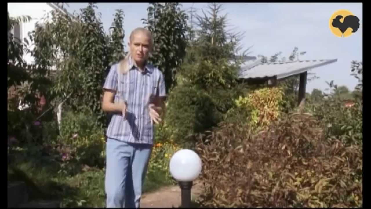 Уличное и ландшафтное освещение дачного загородного участка