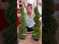 Vevor Topiaries: Green Thumb Secret for Your Porch! #shorts