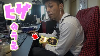 三毛猫まりもはヒザの上がお好き