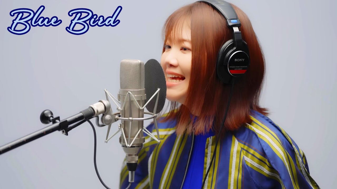 Blue Bird by Ikimono-gakari, First Take, with English translation