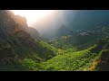 Relaxing sleeping music soothing tunes for sleep therapy anxiety reduction and inner harmony