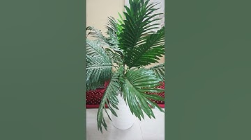 تلاوة خاشعة / عبدالهادي كناكري