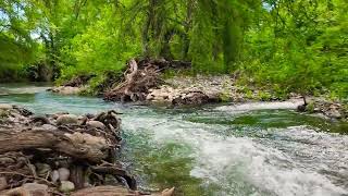 Río de Santa Engracia,Tamaulipas 🇲🇽