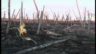 Bosch Creature Motion