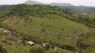 33 Acre Farm 1 hour from downtown Nashville