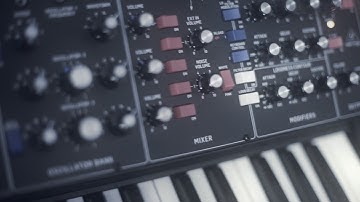 Behringer Model D multi-tracked polyphonic demo