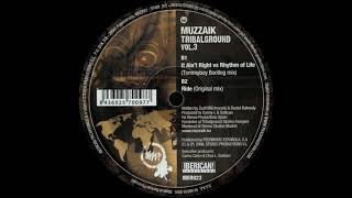 Muzzaik ‎– It Ain't Right vs. Rhythm Of Life (Tommyboy Bootleg Mix) [HD]