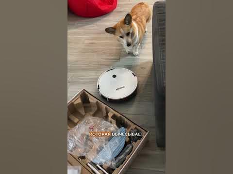Купить робот пылесос можно по ссылке в шапке профиля 🧡 #девушкипоймут # ...