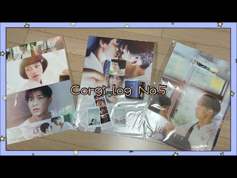 VLOG| 광친 코기의 해길랍 탐방기 (허광한, 해길랍, 오드프레젠트, 허광한관)