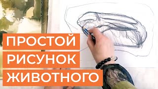 Простой рисунок животного. Анималистика для чайников