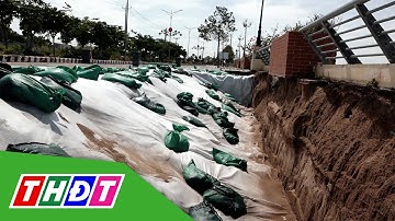 Khắc phục tạm thời sự cố sụp lún, sạt lở kè Thường Thới Tiền | THDT