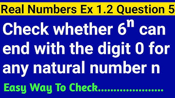 Check Whether 6n Can End With The Digit 0 For Any Natural Number n | Class 10 Exercise 1.2 Question5