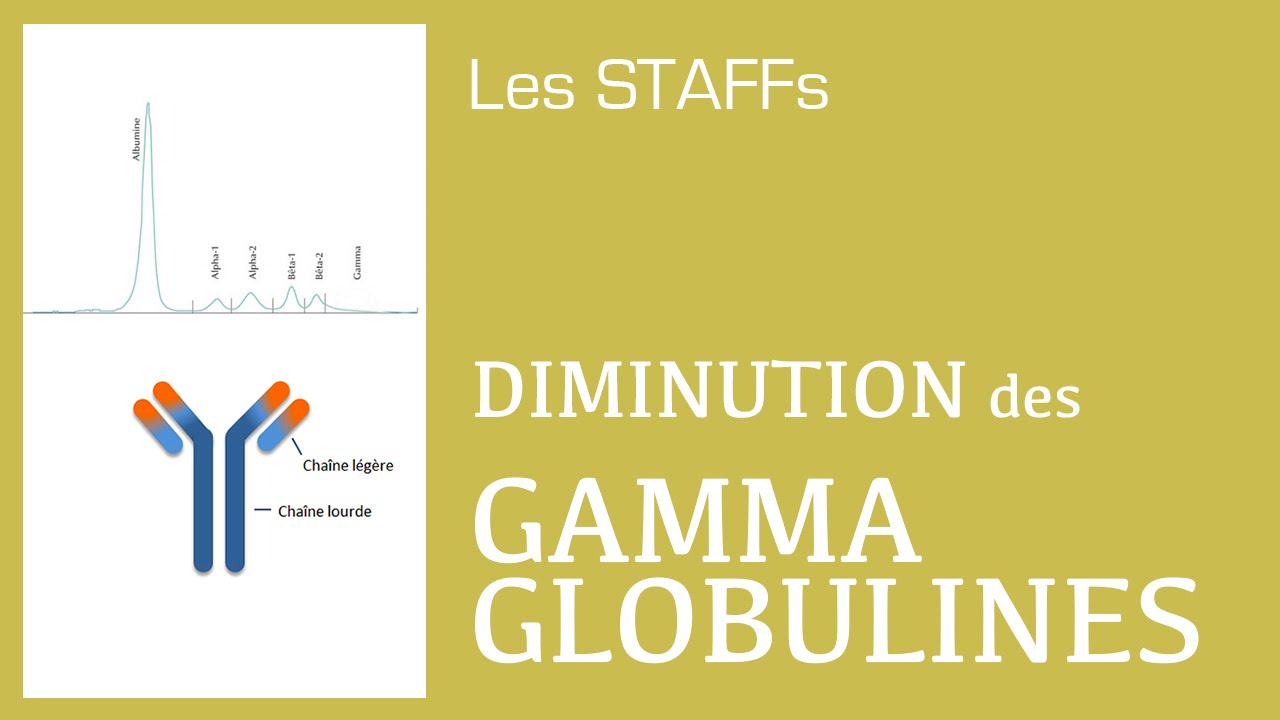 Hypogammaglobulinémie - #09 - STAFFs Saint Camille - YouTube
