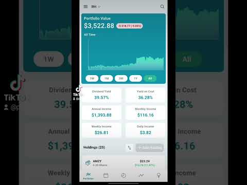 Robinhood Snowball Effect
