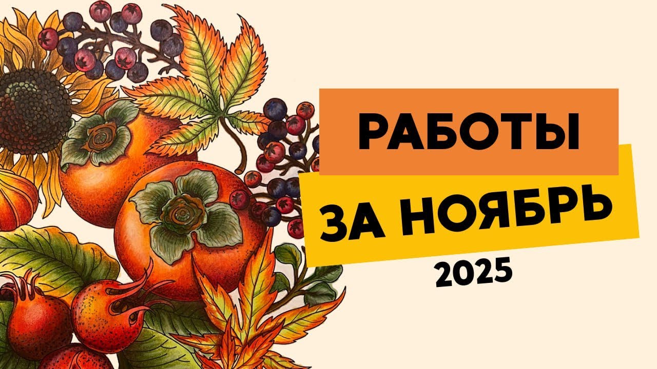 Раскрашенное в ноябре 2025