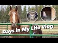 Days in My Life Vlog - Taking care of my animals, riding, and other things :)