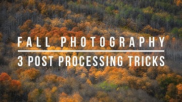 Fall Photography - 3 Post Processing Tricks to Make Your Photos Pop!