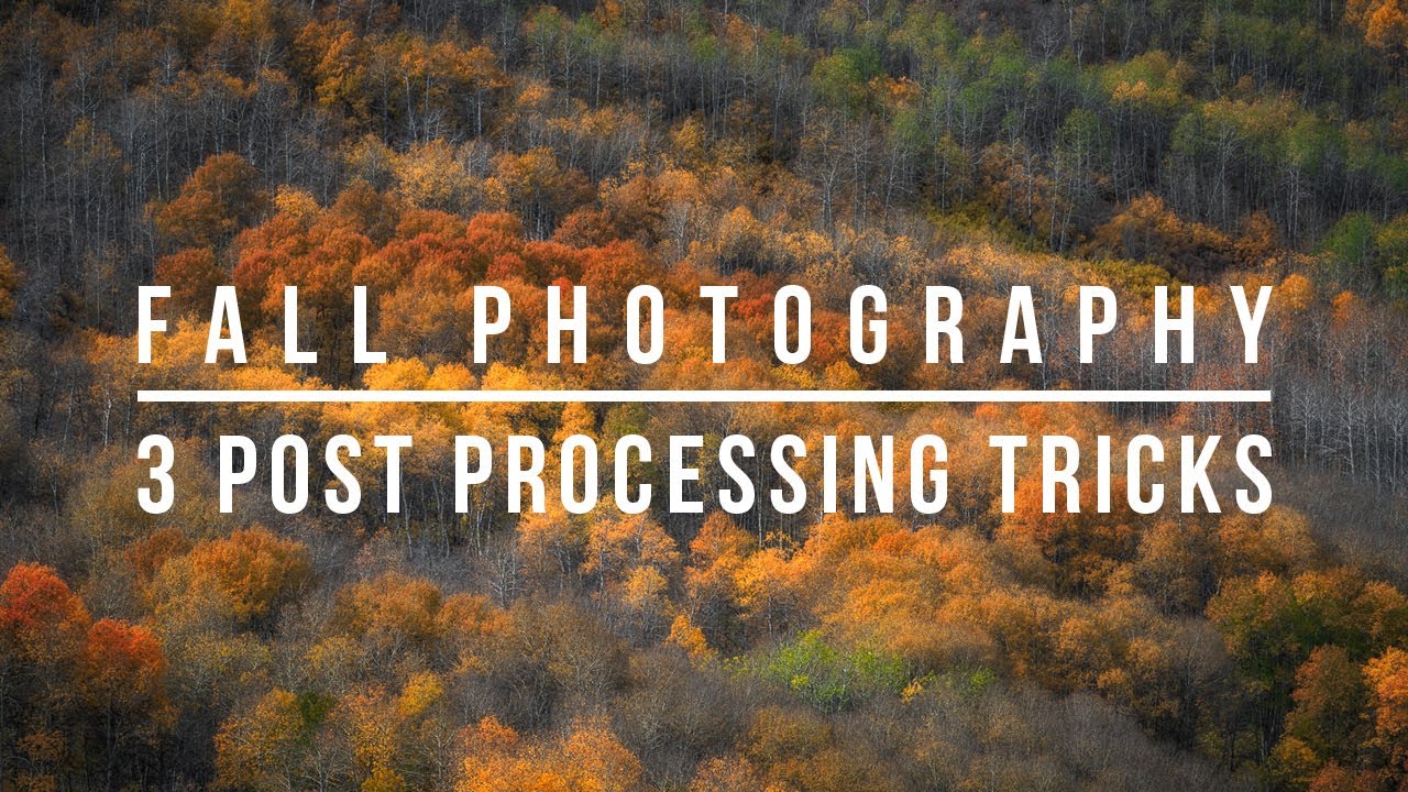 Fall Photography - 3 Post Processing Tricks to Make Your Photos Pop!