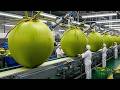 Inside a Modern Coconut Factory: From Fresh Coconuts to Premium Coconut Water (Full Process)