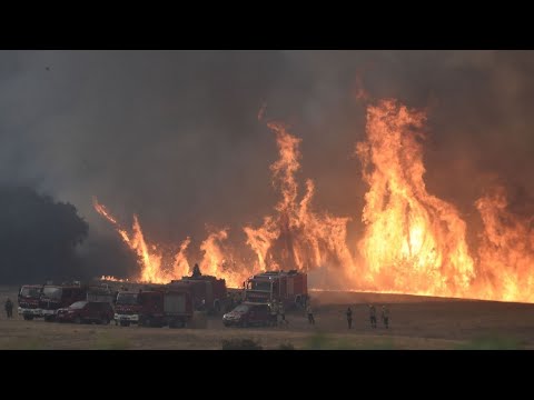 🔥 Evacuations today as forest fires hit across Spain 🇪🇸 June 16 2022 Catalonia Navarre Incendio