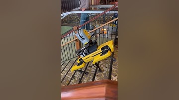 Robot Dog with LiDAR Scanner