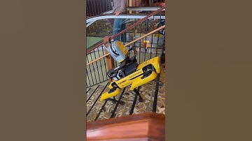 Robot Dog with LiDAR Scanner