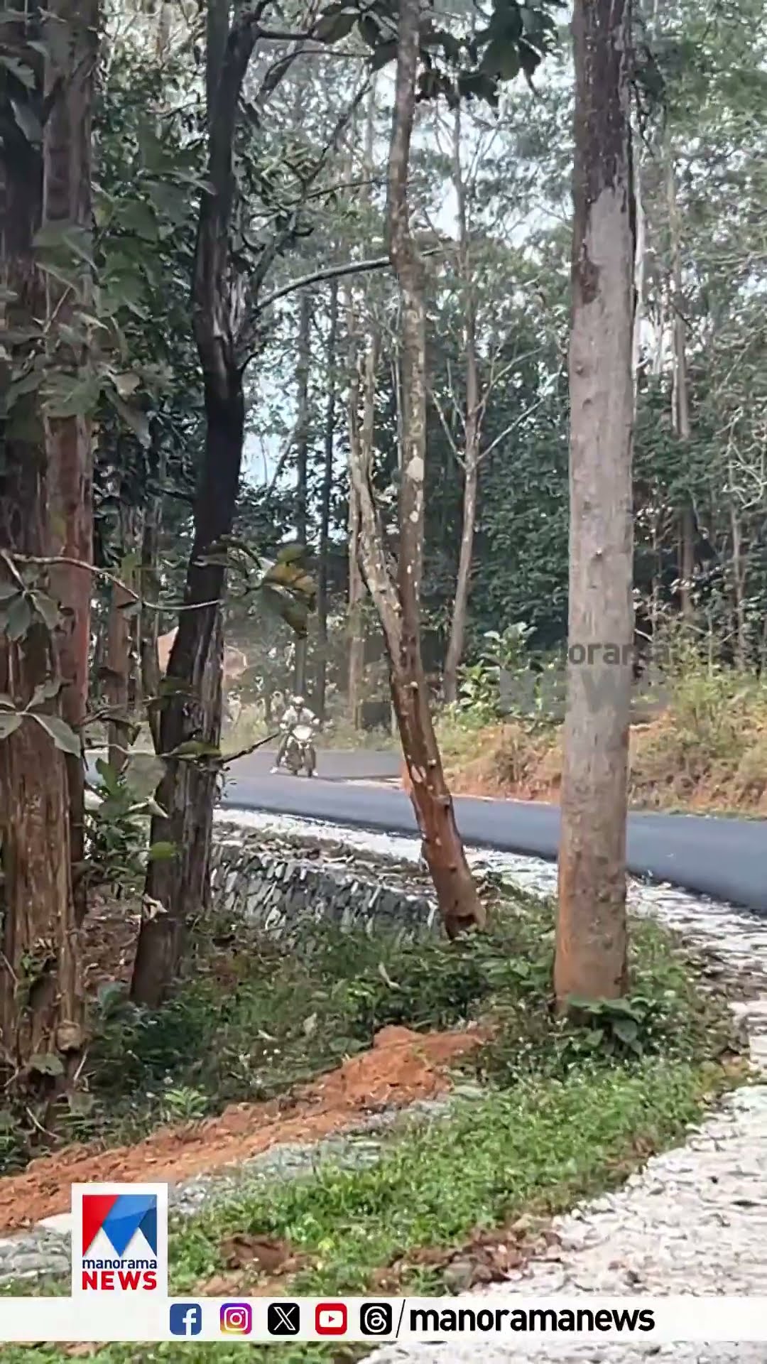 വയനാട്ടില്‍ കാട്ടാന ആക്രമണത്തിന്‍ നിന്ന് ബൈക്ക് യാത്രികര്‍ രക്ഷപ്പെട്ടത് തലനാരിഴയ്ക്ക് #Wayanad