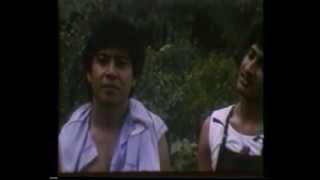 Burung-burung pun bernyanyi-OST Kamus Cinta Sang Primadona