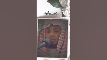 #سعيد_الخطيب #القرآن_الكريم #آيات #quran #قرآن #تلاوة #القرآن #تلاوة_خاشعة #تلاوات #قران_كريم #ايات