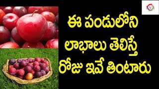 Amazing Health Benefits of Albakara Fruit | Al bukhara Fruit Benefits in Telugu | Venkat Tube