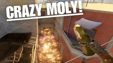 Use THIS Molotov Strategy to Control B-Apps from Short!