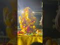 Ganpati bapa moriya 🙏🙏#USA #NJ