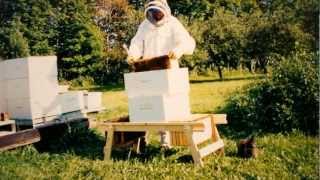 Build a BeeMate Beekeeping Work Bench