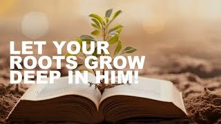 Episode 182: Let Your Roots Grow Deep In HIM!